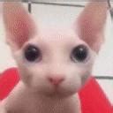 osu discord|bleachy's osu server .